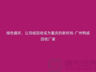 綠色循環(huán)，讓羽絨回收成為重慶的新時尚-廣州鴨絨回收廠家