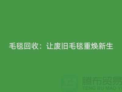 毛毯回收：讓廢舊毛毯重?zé)ㄐ律?><</div>
              <div   id=